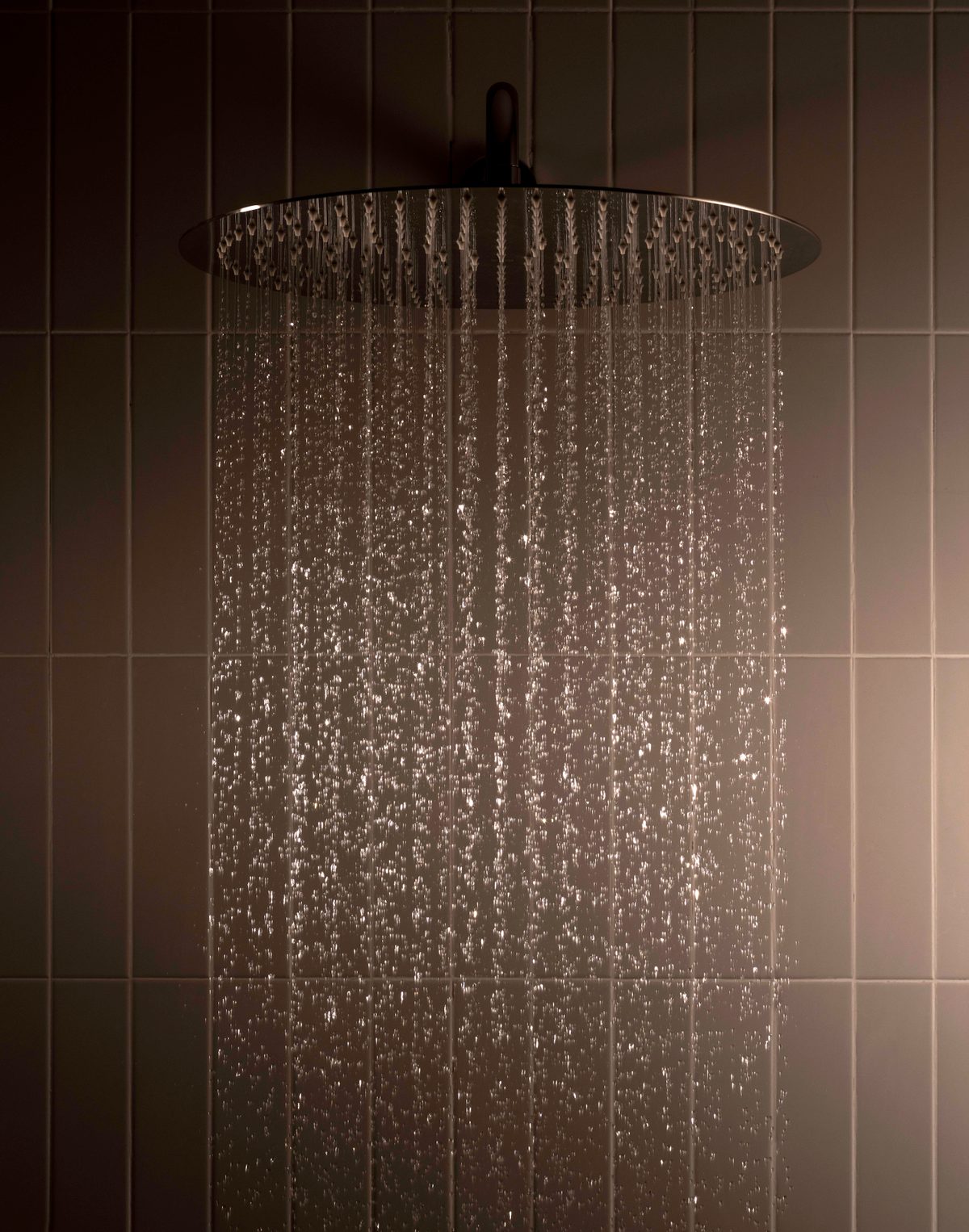 طاسة دش دائرية روكا رين دريم اسود